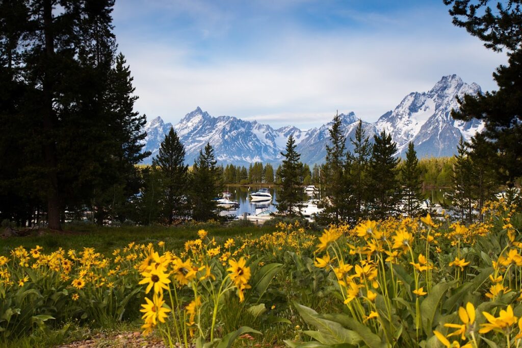 Colter Bay Campground - RV Repository